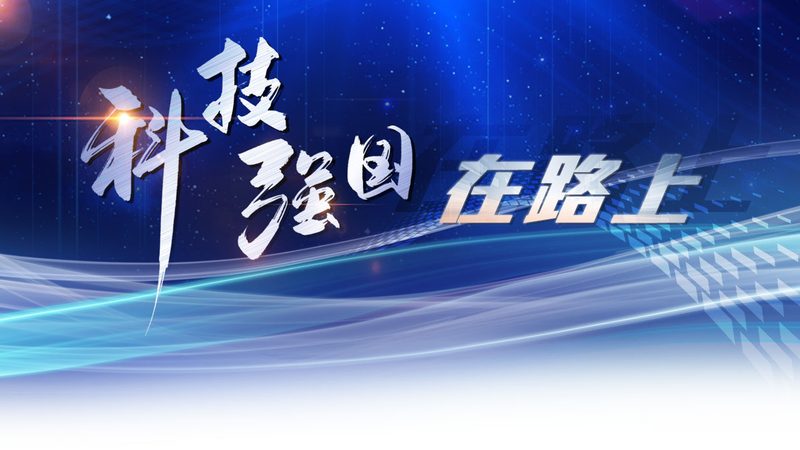 软件测试流程：揭秘高效测试的五大步骤